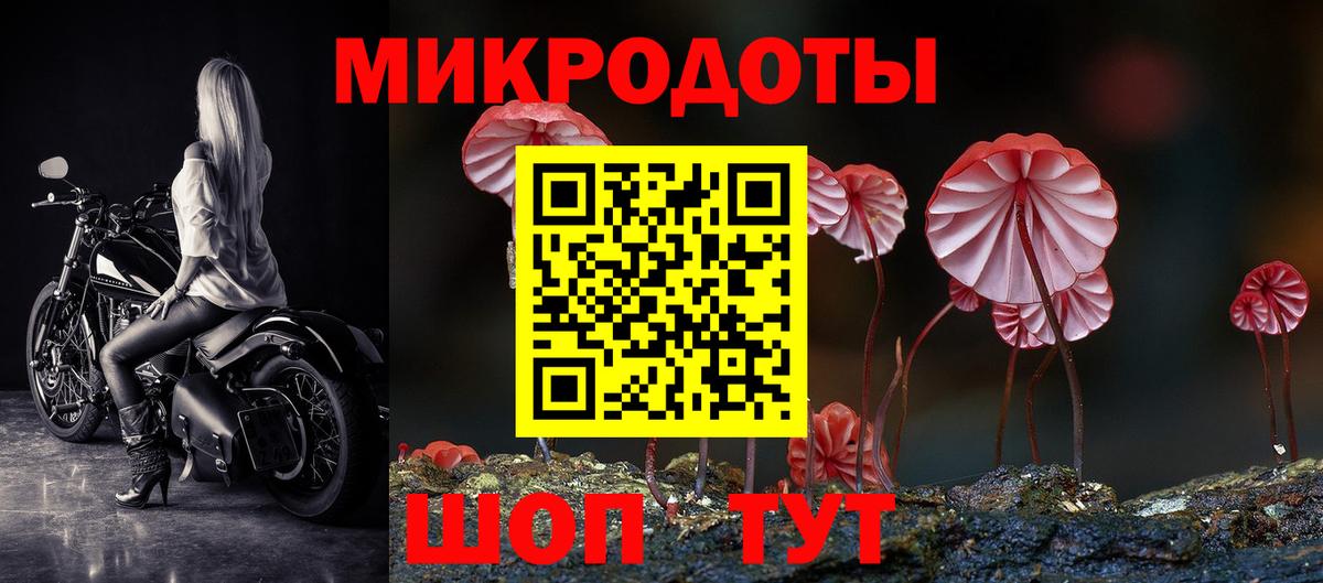 Малоярославец  Псилоцибиновые грибы Psilocybe  Вход с VPN 